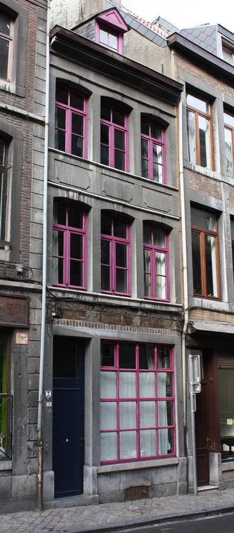 Le Chat Maudit De Maryse Villa Liège Exterior foto